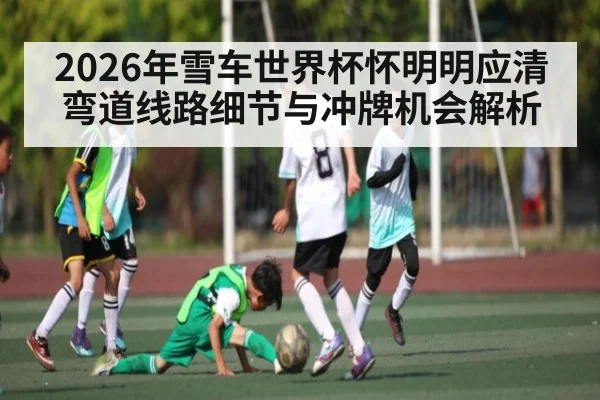 2026年雪车世界杯怀明明应清弯道线路细节与冲牌机会解析